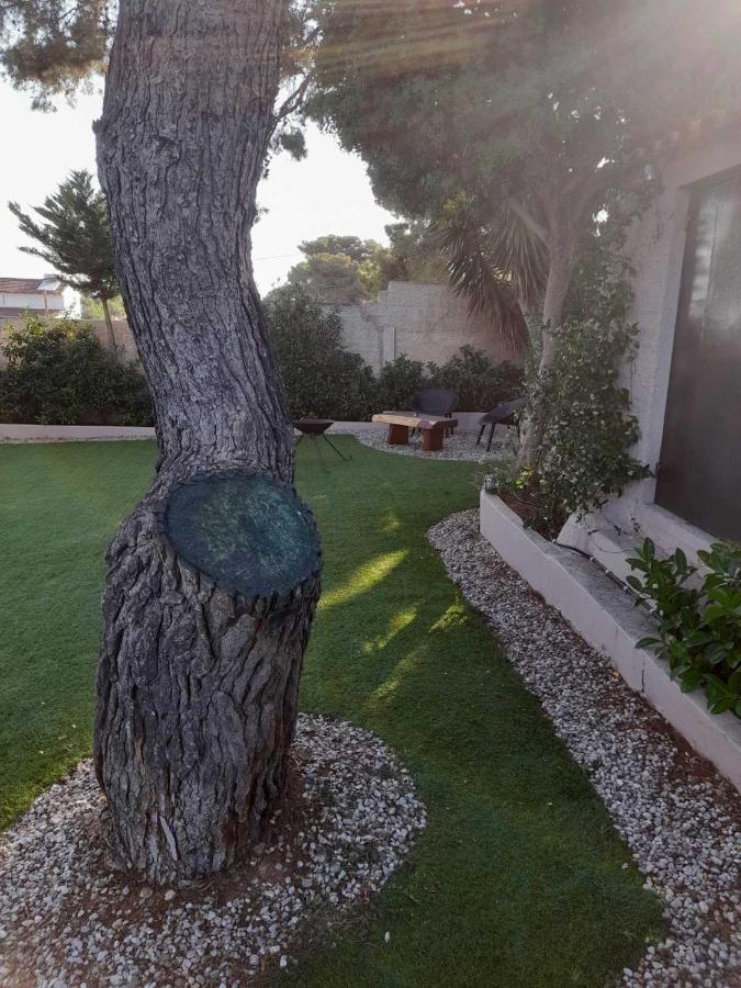 Suite With Garden Agia Marina  المظهر الخارجي الصورة