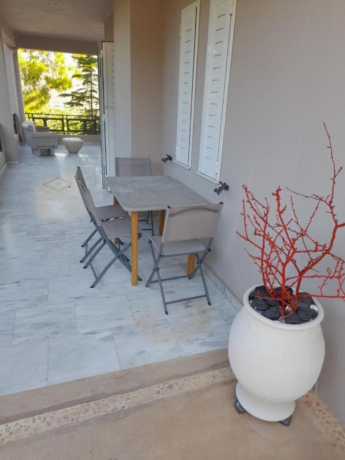 Suite With Garden Agia Marina  المظهر الخارجي الصورة