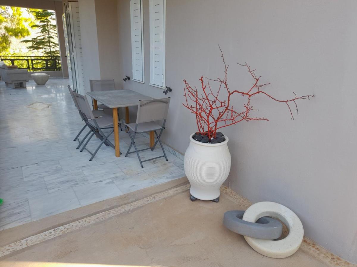Suite With Garden Agia Marina  المظهر الخارجي الصورة